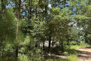 87 Townley Ranch Rd, Huntsville, TX 77320 - Photo 45