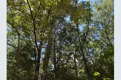 87 Townley Ranch Road, Huntsville, TX 77320 - Photo 43