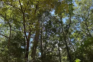 87 Townley Ranch Rd, Huntsville, TX 77320 - Photo 43