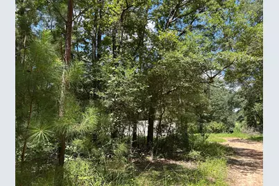 87 Townley Ranch Road, Huntsville, TX 77320 - Photo 45