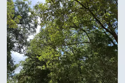 87 Townley Ranch Road, Huntsville, TX 77320 - Photo 47