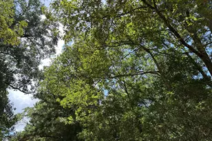 87 Townley Ranch Rd, Huntsville, TX 77320 - Photo 47