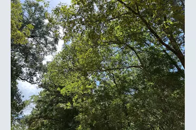 87 Townley Ranch Road, Huntsville, TX 77320 - Photo 47