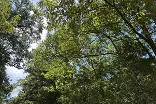 87 Townley Ranch Rd, Huntsville, TX 77320 - Photo 47