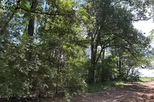 87 Townley Ranch Rd, Huntsville, TX 77320 - Photo 49