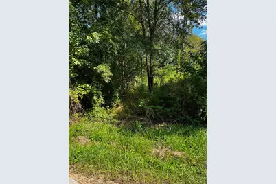 106 Indian Creek Circle, Willis, TX 77378 - Photo 7