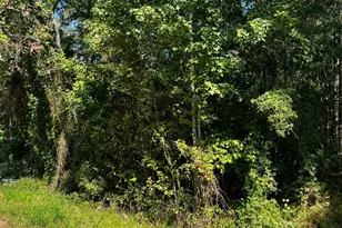 106 Indian Creek Cir, Willis, TX 77378 - Photo 3