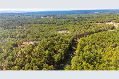 0313 King Ranch Road South, Onalaska, TX 77360 - Photo 15