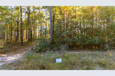 0313 King Ranch Road South, Onalaska, TX 77360 - Photo 19