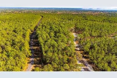 0313 King Ranch Road South, Onalaska, TX 77360 - Photo 9