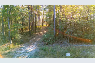 0313 King Ranch Road South, Onalaska, TX 77360 - Photo 23