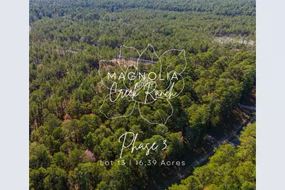 0313 King Ranch Road South, Onalaska, TX 77360 - Photo 1