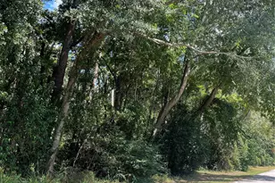 1611 Athens Dr, Roman Forest, TX 77357 - Photo 1