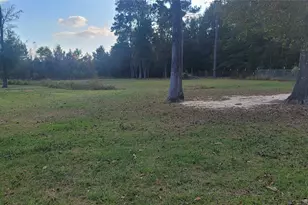 18500 Fm 2090 Rd, Conroe, TX 77306 - Photo 15