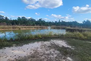 18500 Fm 2090 Rd, Conroe, TX 77306 - Photo 13