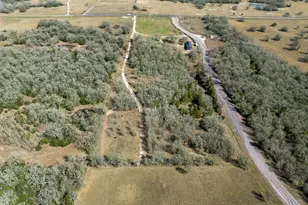 10102 FM3058, Caldwell, TX 77836 - Photo 33