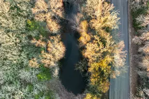 10102 FM3058, Caldwell, TX 77836 - Photo 29