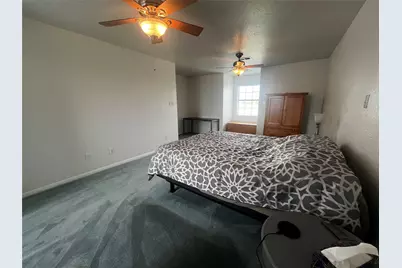 1100 Swiss Alp Hills Loop, Schulenburg, TX 78956 - Photo 19