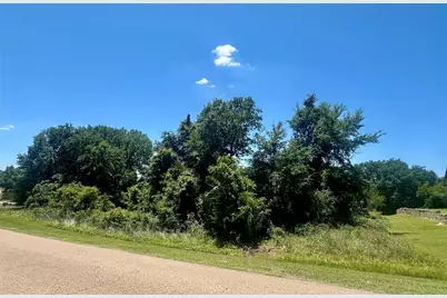 Lot 16 King Oaks Drive, Iola, TX 77861 - Photo 5