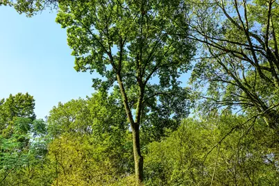 382 Sawmill Drive, Lovelady, TX 75851 - Photo 35