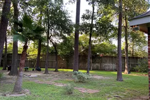 35 Teakwood Pl, The Woodlands, TX 77384 - Photo 3