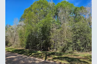 0 Magnolia Woods Drive, Livingston, TX 77351 - Photo 3