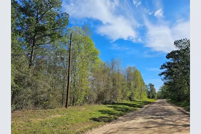 0 Magnolia Woods Drive, Livingston, TX 77351 - Photo 1