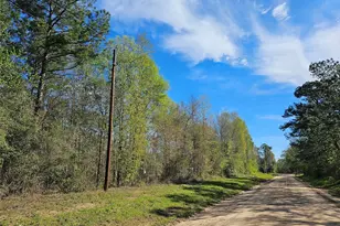 0 Magnolia Woods Dr, Livingston, TX 77351 - Photo 1