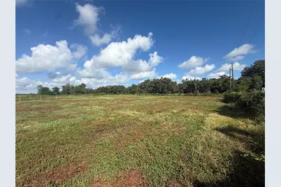 0 Cr 353, Brazoria, TX 77422 - Photo 3