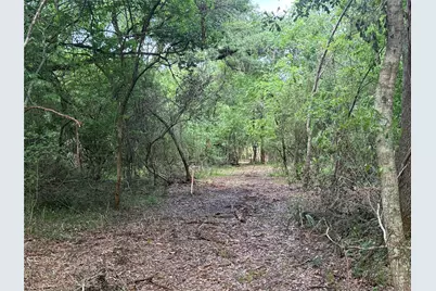 6827 Bryan Road, Jones Creek, TX 77541 - Photo 7