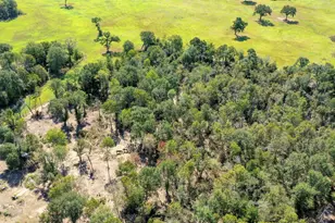 9486 Puddin Ln, Madisonville, TX 77864 - Photo 15
