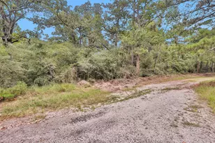 328 Dogwood Forest Trail, Trinity, TX 75862 - Photo 37