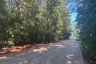 Lot 16 Force St, Woodville, TX 75979 - Photo 1