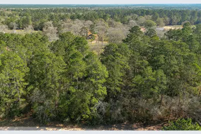 13167 Mill Creek Drive N, Plantersville, TX 77363 - Photo 3