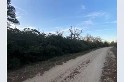 63 Holly Lane, Hilltop Lakes, TX 77871 - Photo 7