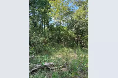 Tbd Honeysuckle, Lot 10, Livingston, TX 77351 - Photo 1