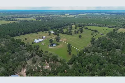 382 Hinson Road, Lovelady, TX 75851 - Photo 47