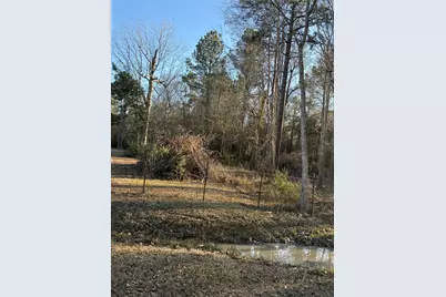 000 Cr 308, Cleveland, TX 77327 - Photo 3