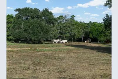 444 N Nassau Road, Round Top, TX 78954 - Photo 15