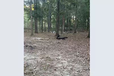 19228 Kettering Circle, New Caney, TX 77357 - Photo 5