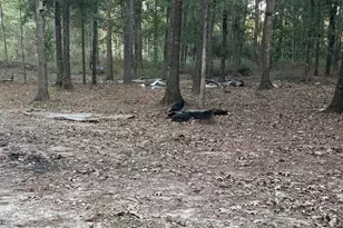 19228 Kettering Cir, New Caney, TX 77357 - Photo 5