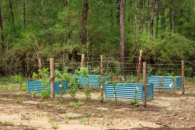 Tbd Saratoga Woods Drive, Montgomery, TX 77316 - Photo 9