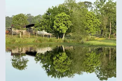 12706 Wanda Lane, Magnolia, TX 77354 - Photo 7