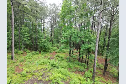 268 Cedar Valley Road, Coldspring, TX 77331 - Photo 27