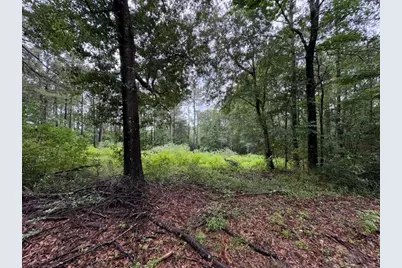 268 Cedar Valley Road, Coldspring, TX 77331 - Photo 9