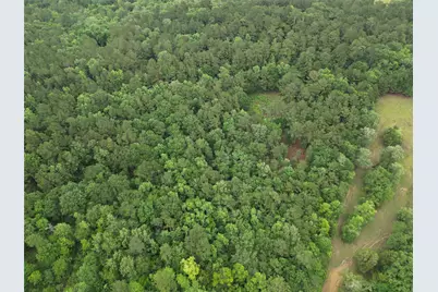 268 Cedar Valley Road, Coldspring, TX 77331 - Photo 25