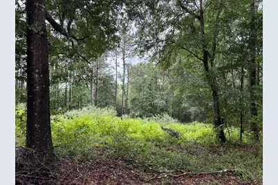 268 Cedar Valley Road, Coldspring, TX 77331 - Photo 19