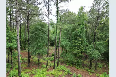 268 Cedar Valley Road, Coldspring, TX 77331 - Photo 15
