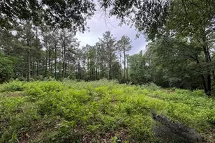 268 Cedar Vly Rd, Coldspring, TX 77331 - Photo 1
