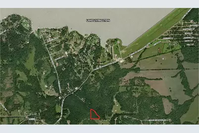 268 Cedar Valley Road, Coldspring, TX 77331 - Photo 3